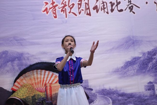 青春中国，怀梦青春——记“中华魂”系列活动