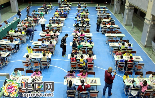 多家媒体报道国际象棋公开赛在我校成功举行