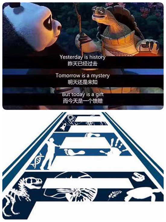 55014.jpg