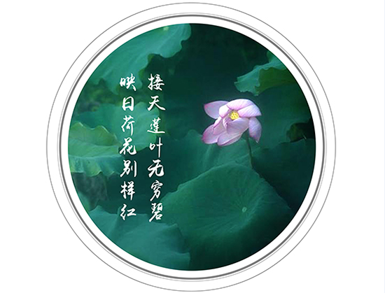 微信截图_20180704091953.png
