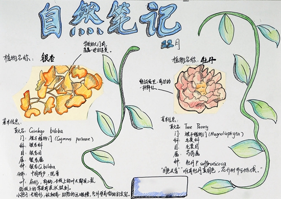 5班_白芸妮.jpg