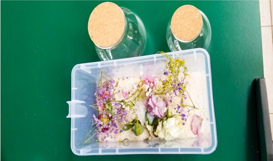 干花2.jpg